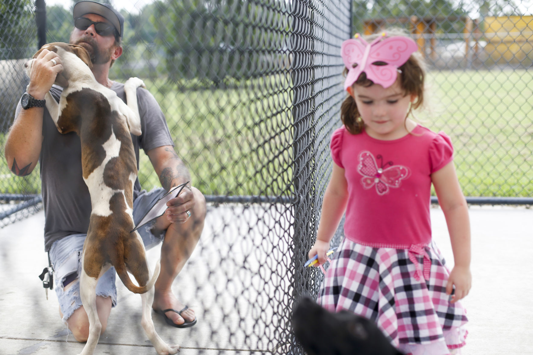 Clear the Shelter